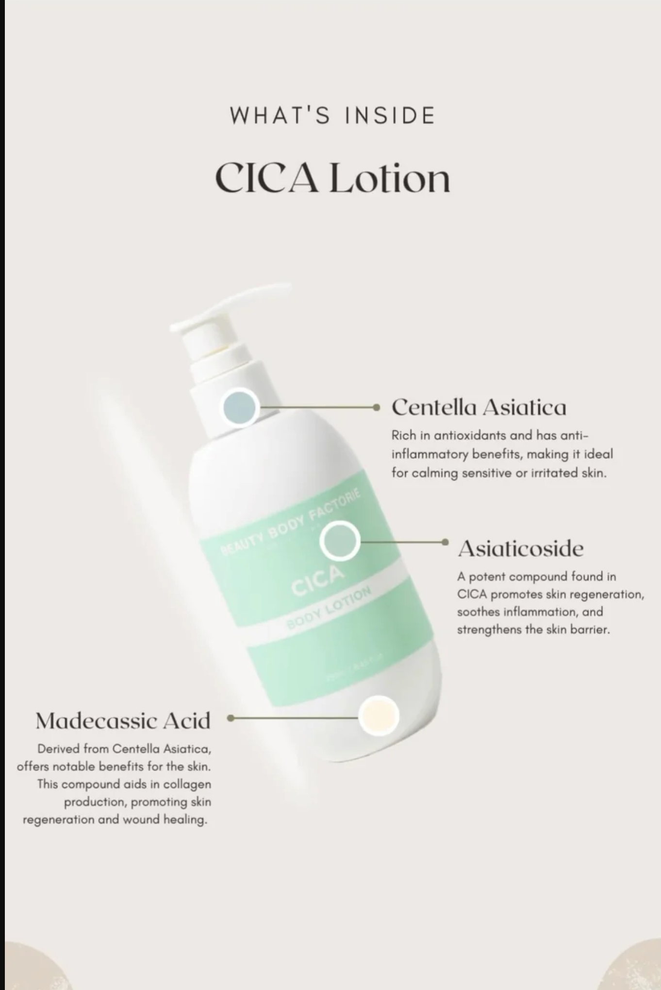 Beauty Body Factory Cica Body Lotion