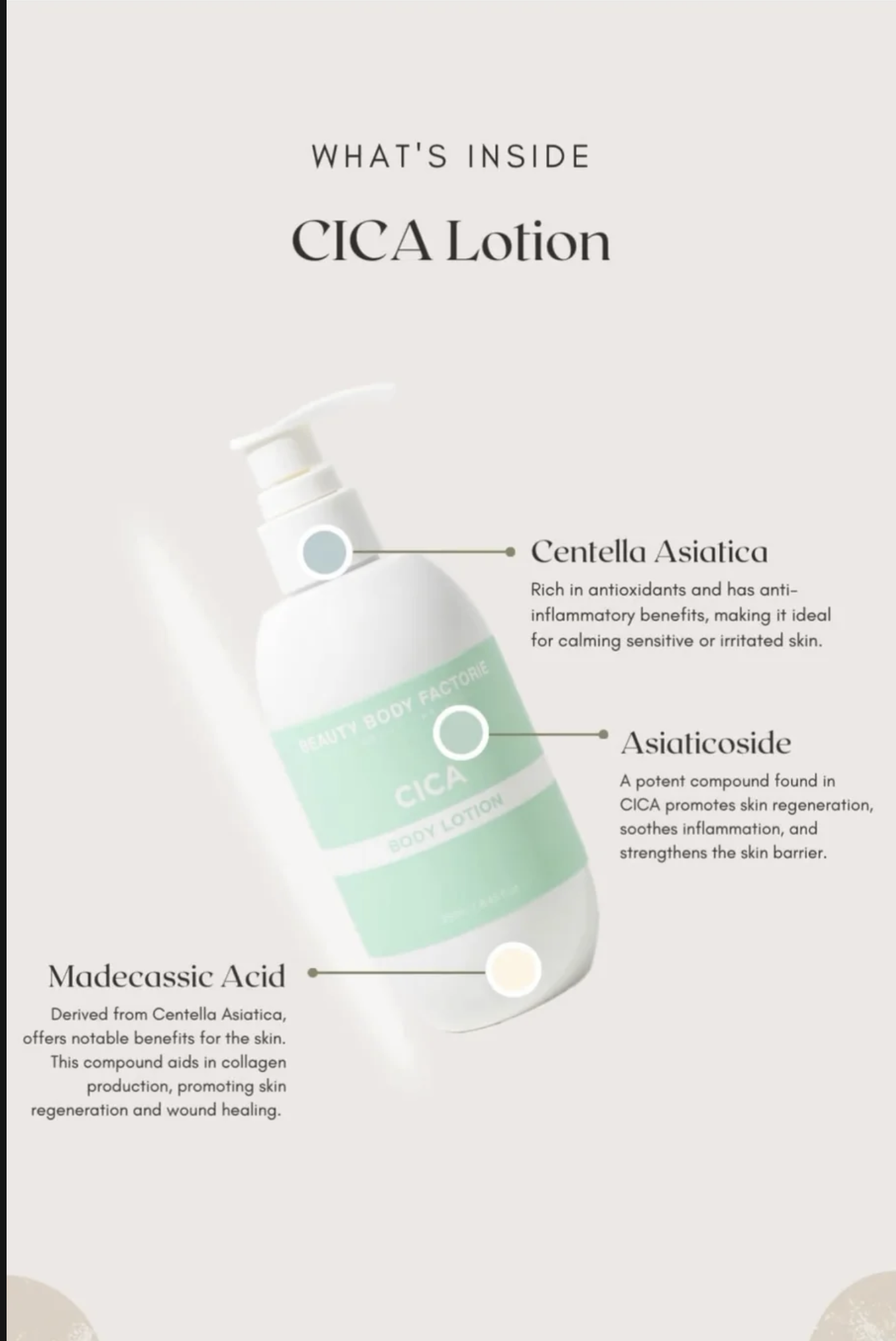 Beauty Body Factory Cica Body Lotion